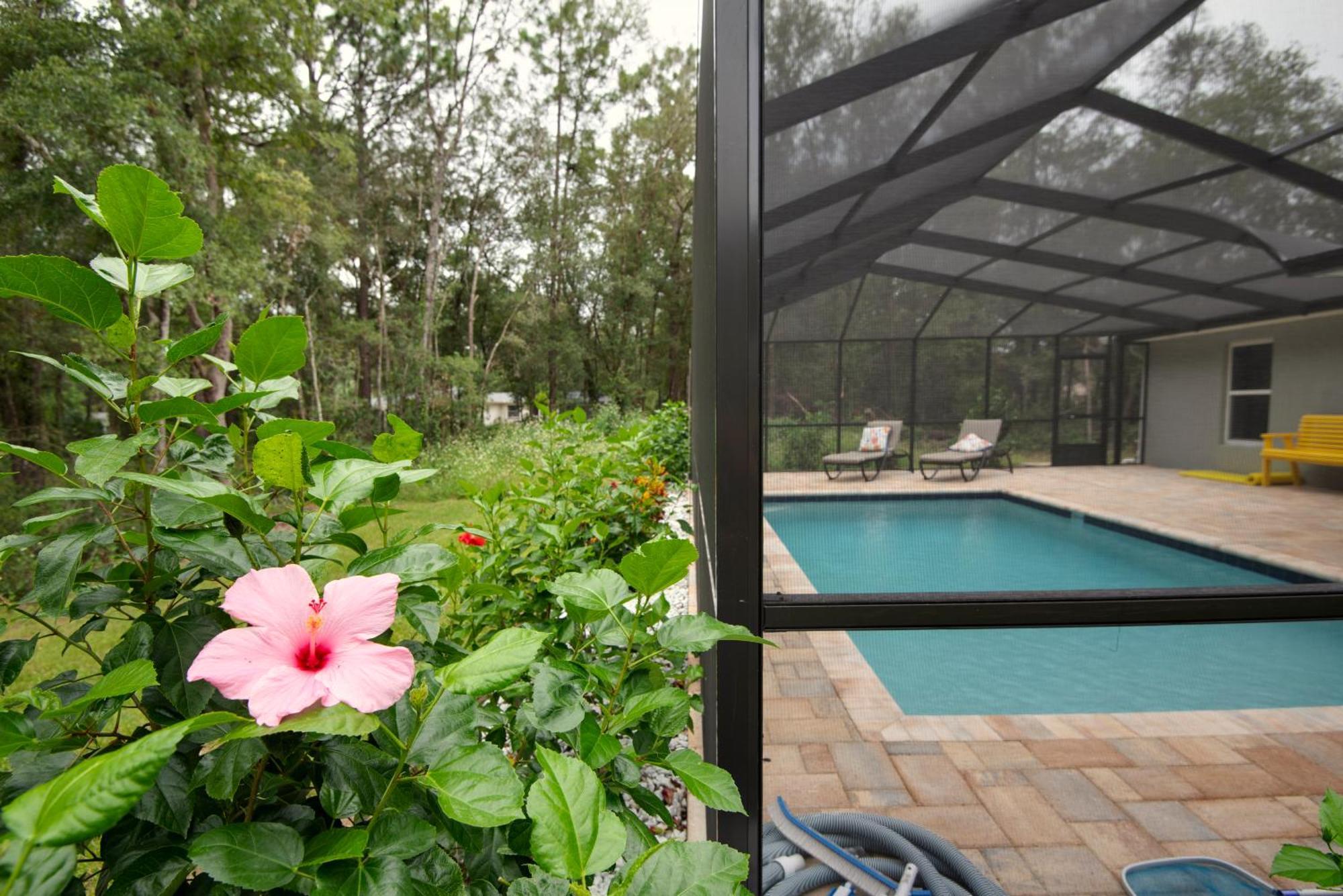 Pet-Friendly, Heated Pool, Close To Everything 3 Bedroom Home Dunnellon Luaran gambar